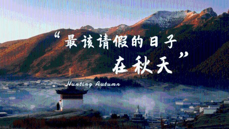 南沙起势加速 项目“满弓”推进
